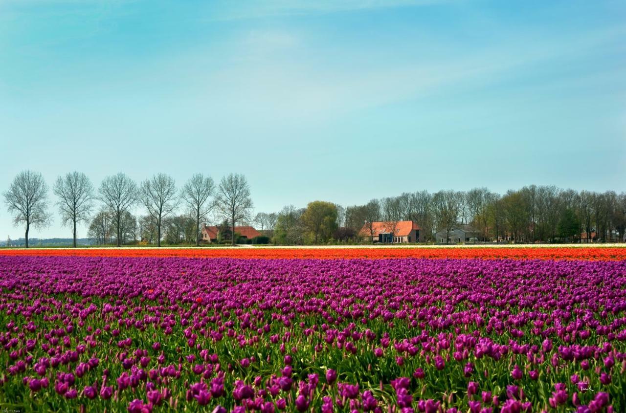 B&B De Strandhoeve Giethoorn Extérieur photo